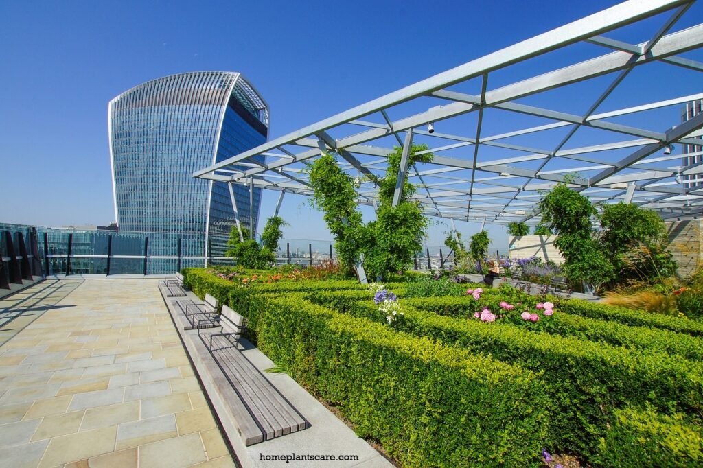 Start a Rooftop Garden